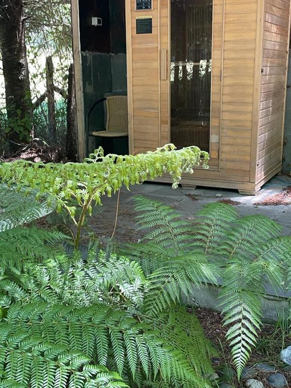 Entre Hualles y Pellines