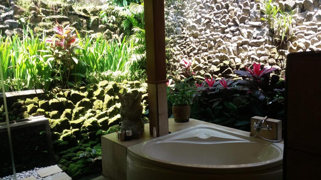 Nefatari Exclusive Villas - 5