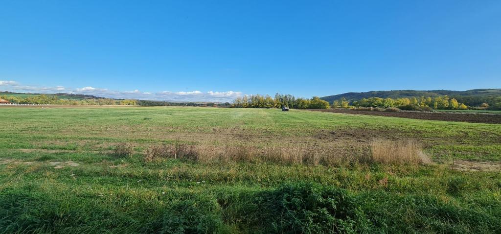 Príroda v okolí dovolenkového domu