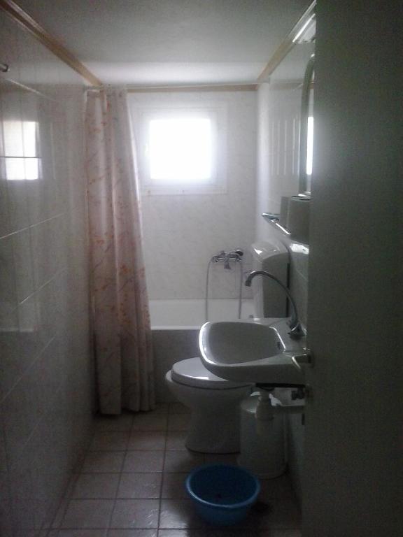 łazienka z toaletą, umywalką i oknem w obiekcie Karagiozos Studios & Apartments w mieście Skopelos