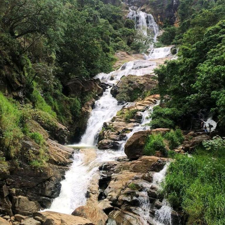 Pepper Garden Resort - 11