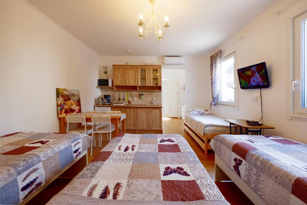 ECO-LUX APART with free bicycles end free parking - Apartment