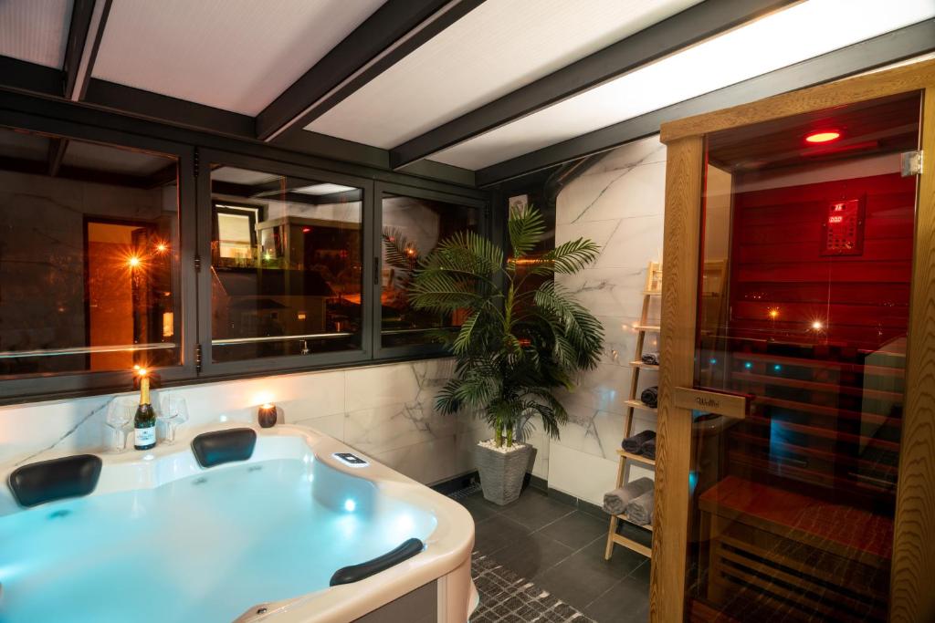 IN LUX SPA APARTMAN - One-Bedroom Apartment
