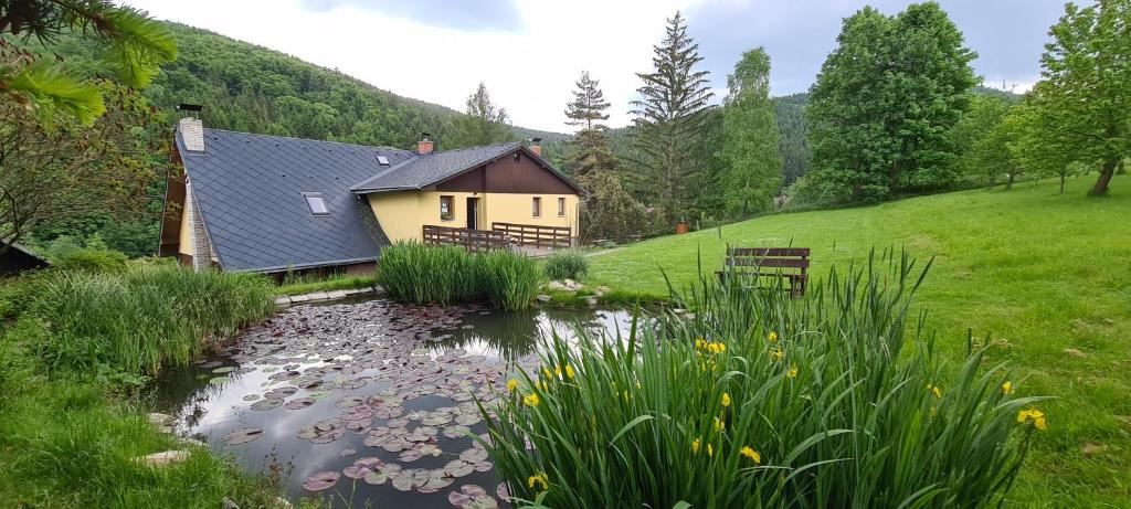 a house on a hill with a pond in front of it at Apartmány Pony in Ludvíkov