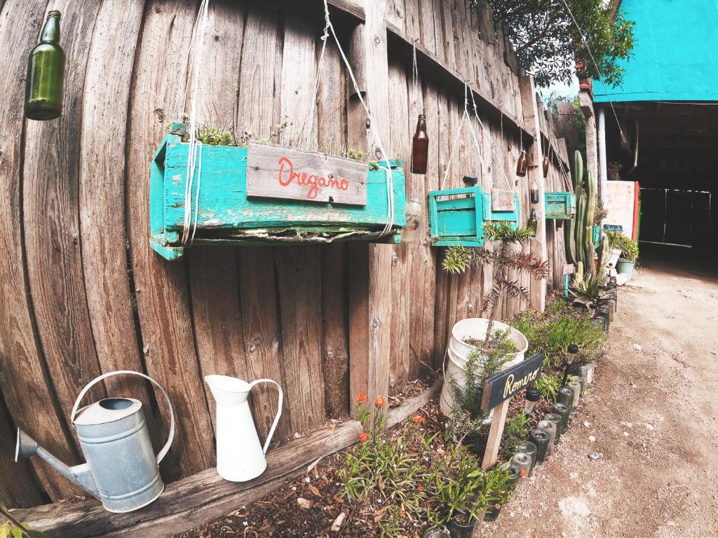Zahrada ubytování Los Rukos Cabanas (Bungalows)