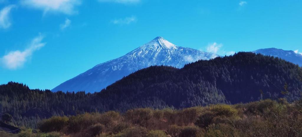 Tented camps Teide view Dome en Erjos, Tenerife