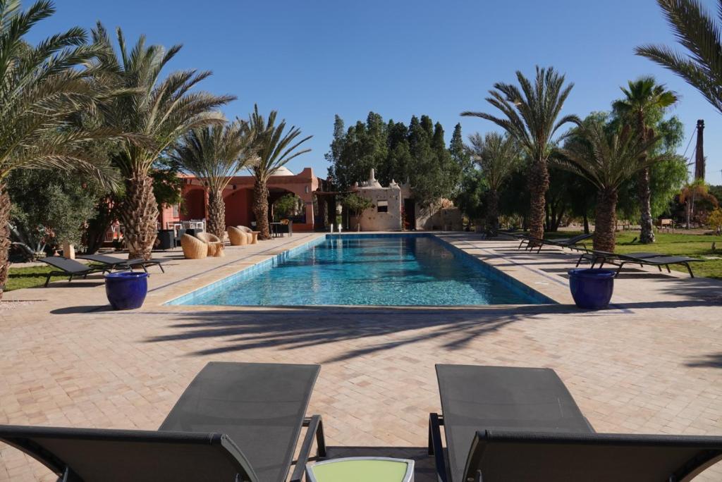 a swimming pool with chairs and palm trees at L’oasis de kima in Taroudant