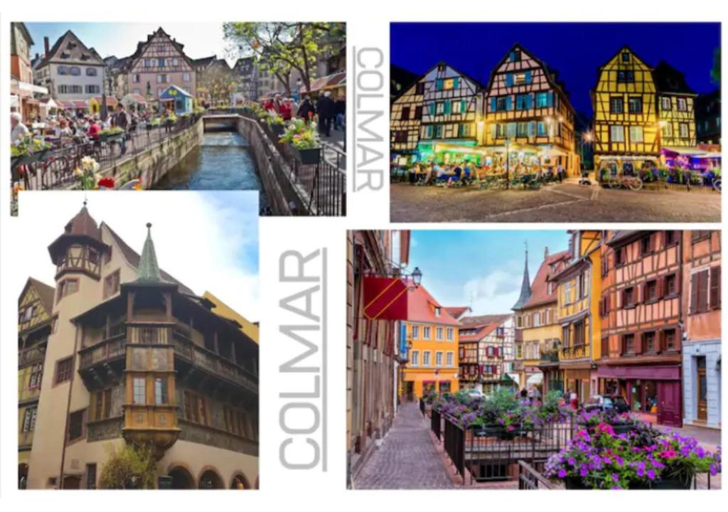 Cosis Colmar - 2 Chambres - 4 Pers - Duplex - Parking - Wifi – photo 17