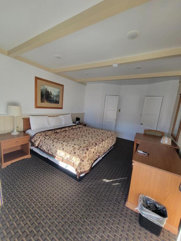 a bedroom with a large bed and two night stands at Townhouse Motel in Bishop