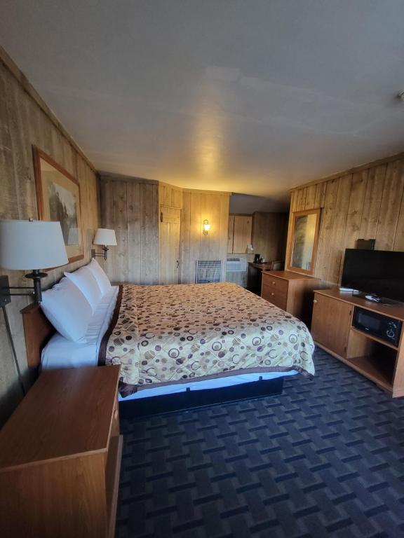 a hotel room with a bed and a television at Townhouse Motel in Bishop