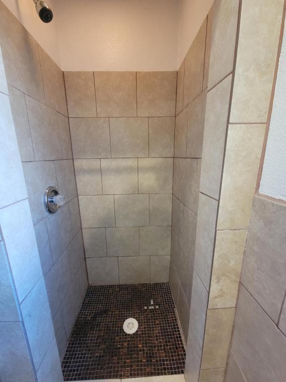 a bathroom with a shower with a toilet at Townhouse Motel in Bishop