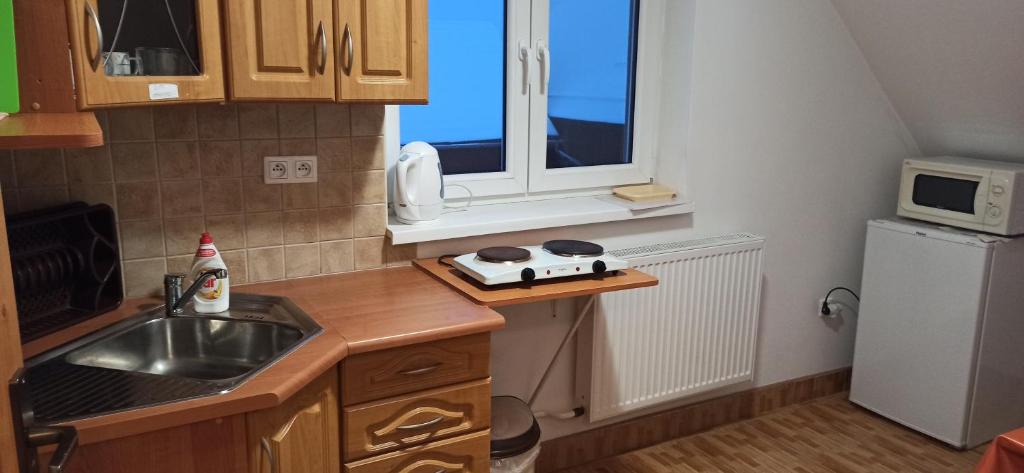 Kuchyň nebo kuchyňský kout v ubytování Apartment Majerčák