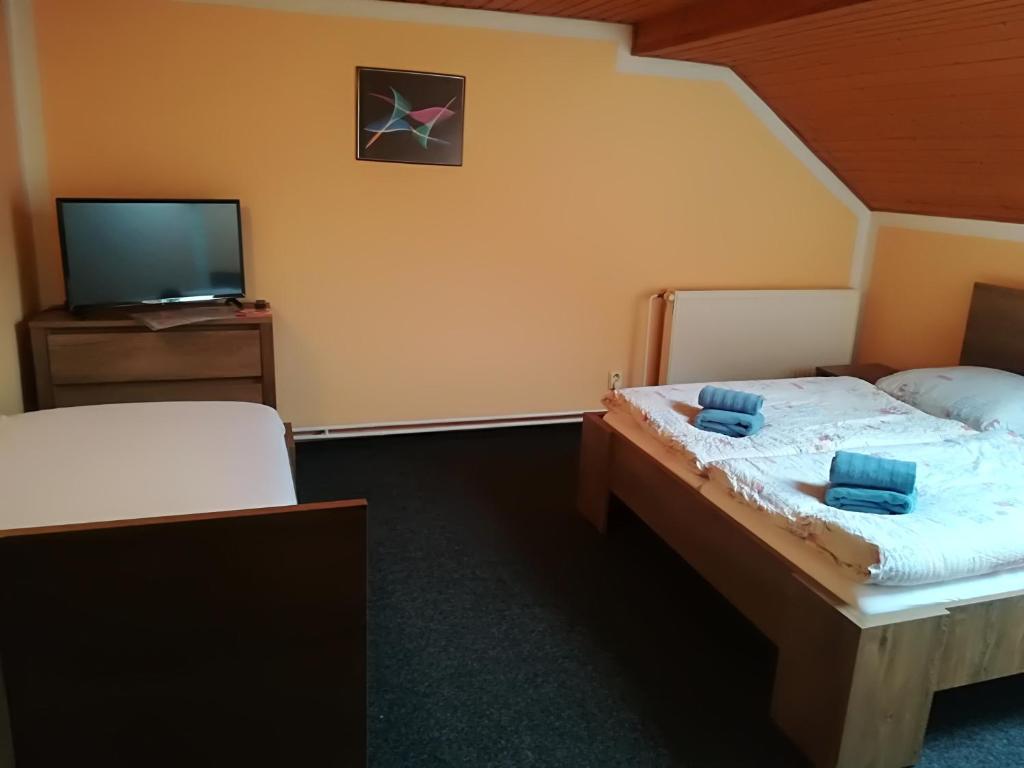 TV a/nebo společenská místnost v ubytování Pension Krista