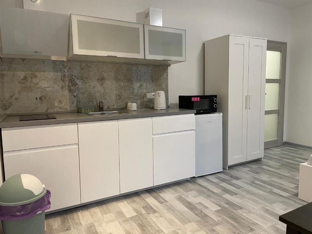 Kuchyň nebo kuchyňský kout v ubytování Apartmant T&T
