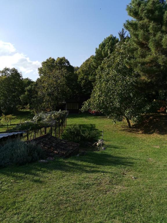 Zahrada ubytování Apartman MARIJETA