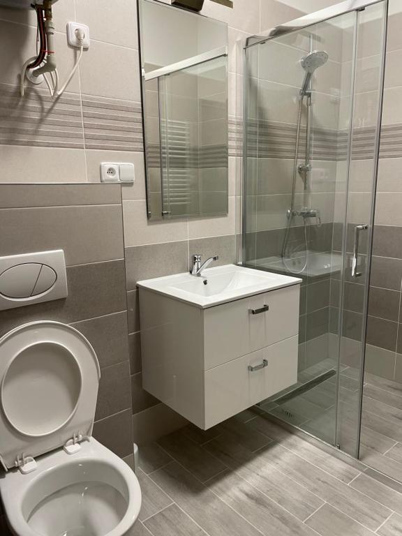 Koupelna v ubytování Apartmant T&T