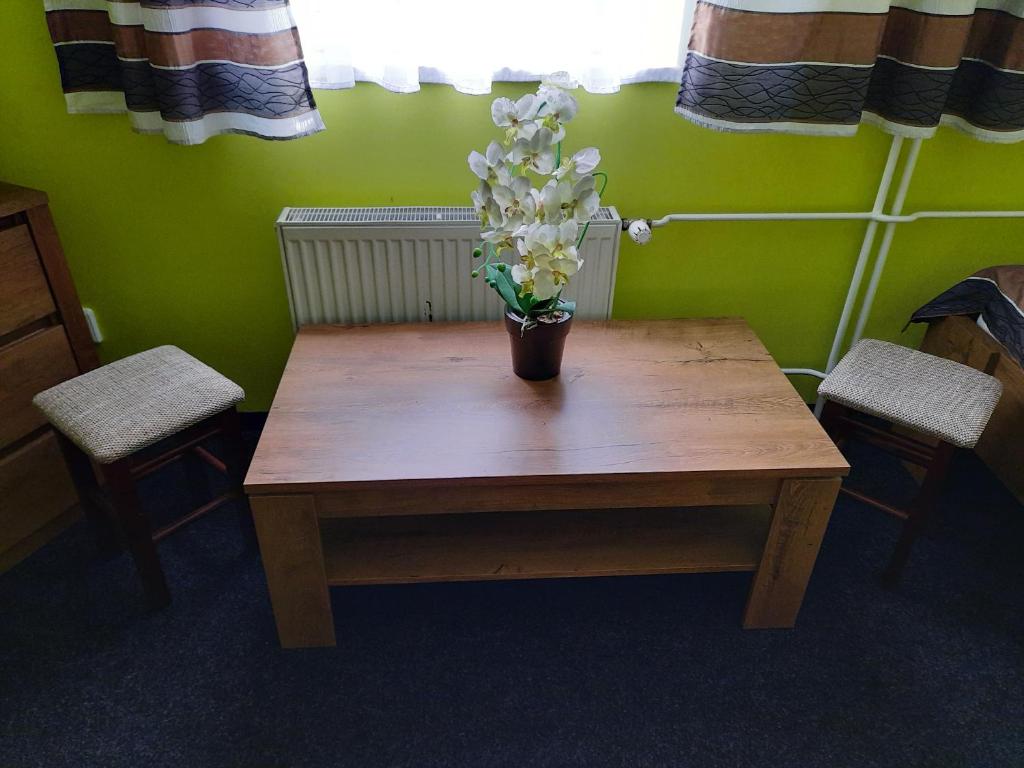 Fotografie z fotogalerie ubytování Pension Krista v Kraslicích
