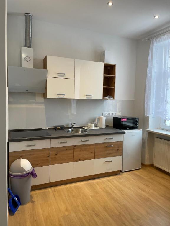 Kuchyň nebo kuchyňský kout v ubytování Apartmant T&T