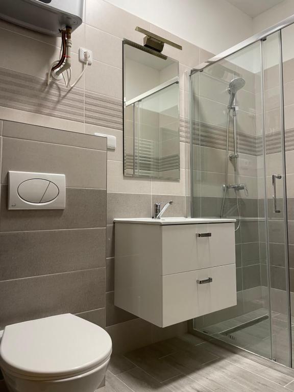 Koupelna v ubytování Apartmant T&T