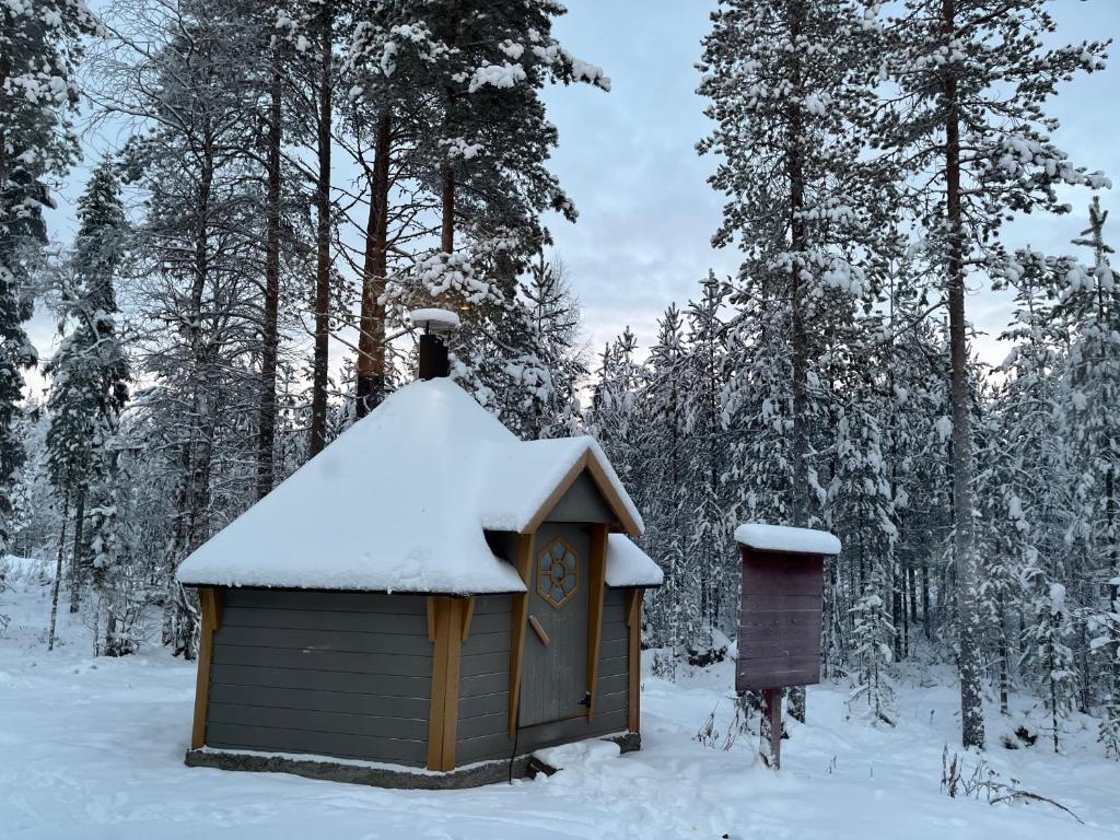 Aurora Igloo Fireplace-heated Tents in a secret forest with private Jacuzzi and shared sauna bathroom and dog friendly v zimě