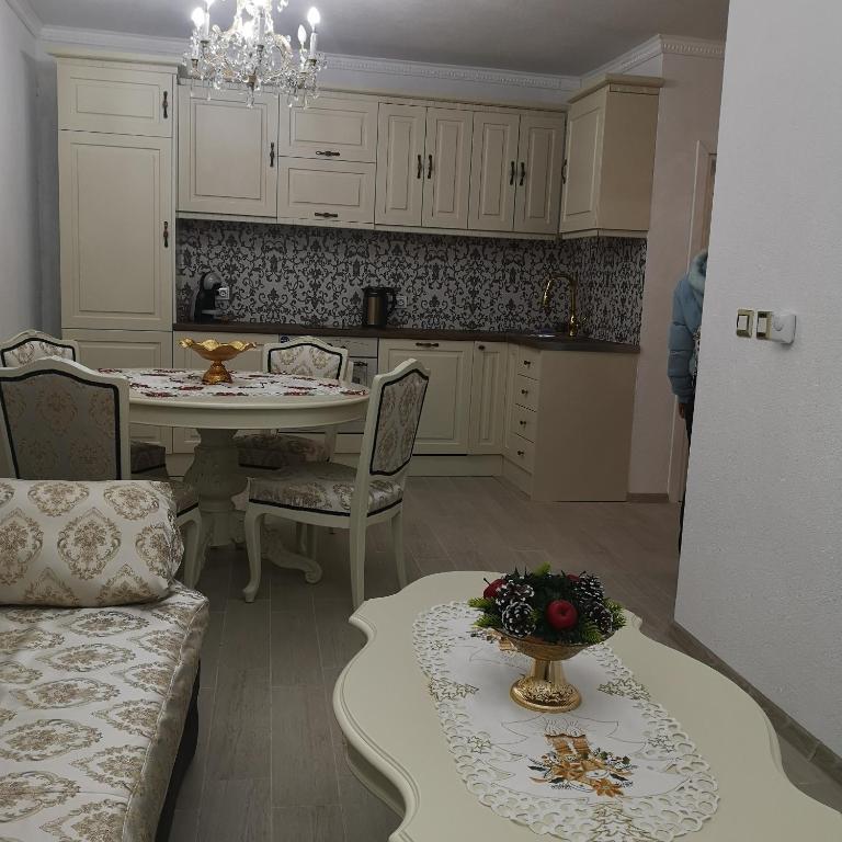 Kuchyň nebo kuchyňský kout v ubytování Ikonomov House