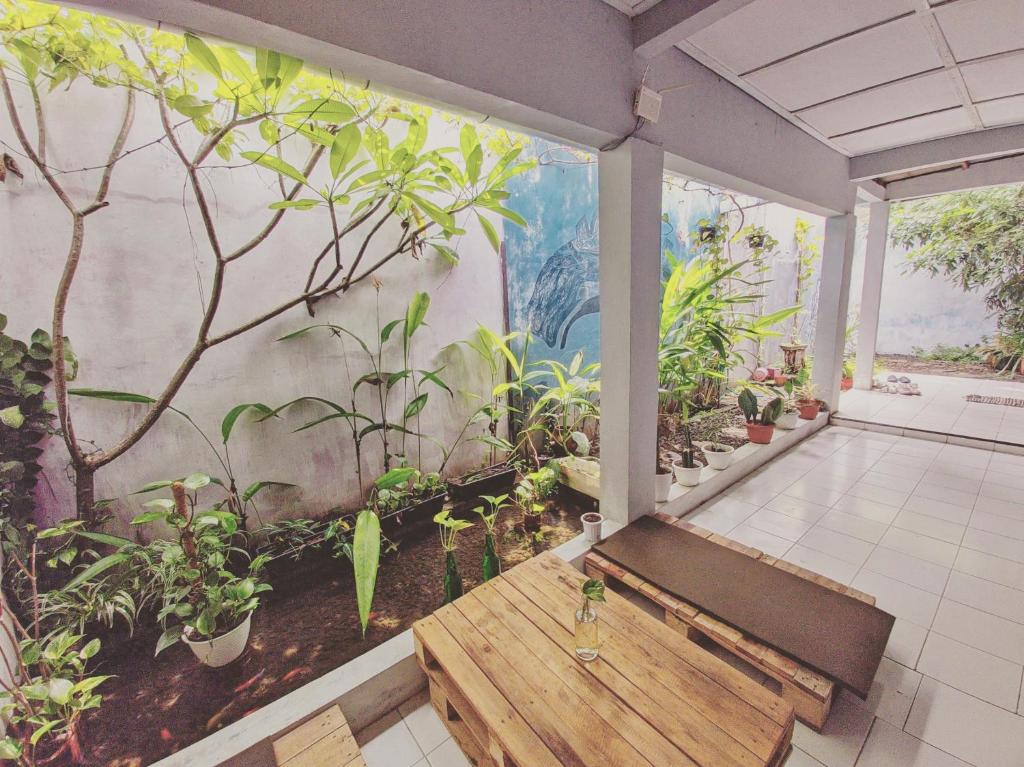 Zahrada ubytování Reeneo Guesthouse