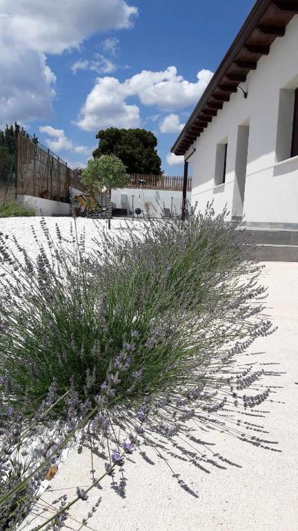 Fotografie z fotogalerie ubytování la Perla Casa Rural sostenible v destinaci Hiendelaencina