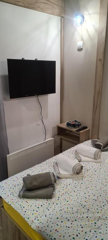 TV o dispositivi per l'intrattenimento presso Apartman Mina Jezero