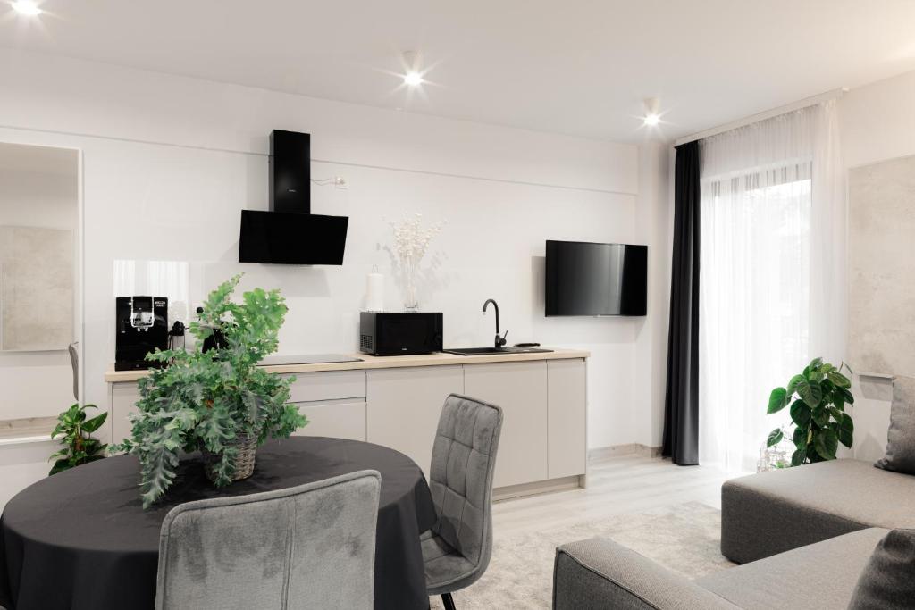 Kuchyňa alebo kuchynka v ubytovaní Royal Apartments & Spa Zakopane-Cyrhla