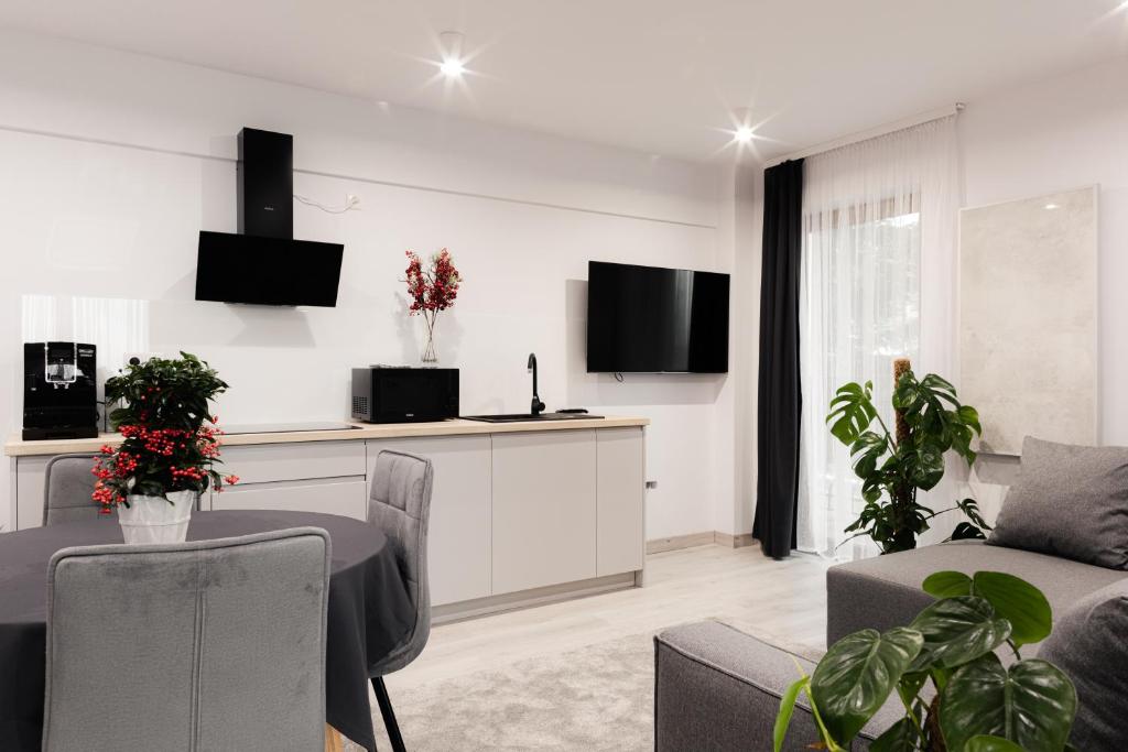 Televízia a/alebo spoločenská miestnosť v ubytovaní Royal Apartments & Spa Zakopane-Cyrhla