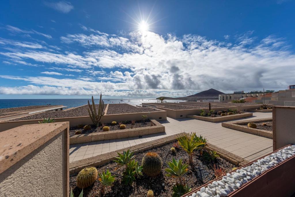 a view of a patio with cacti and the ocean at MEDANO4YOU Surfers Paradise Casa Medano in El Médano