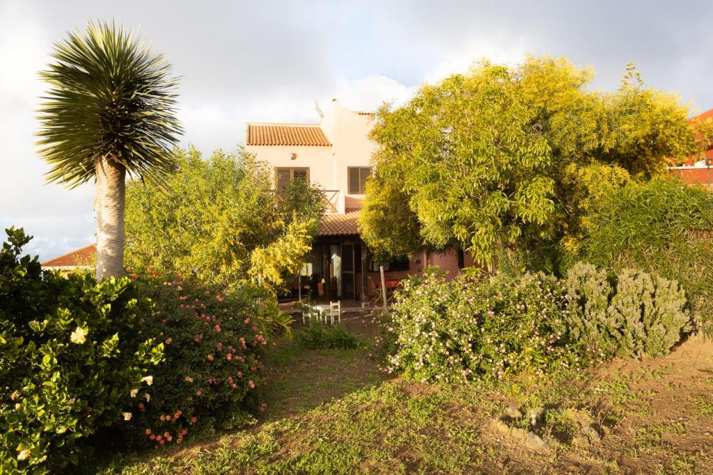 a white house with a palm tree and bushes at Home2Book Amazing Teide View & Terrace in Sauzal