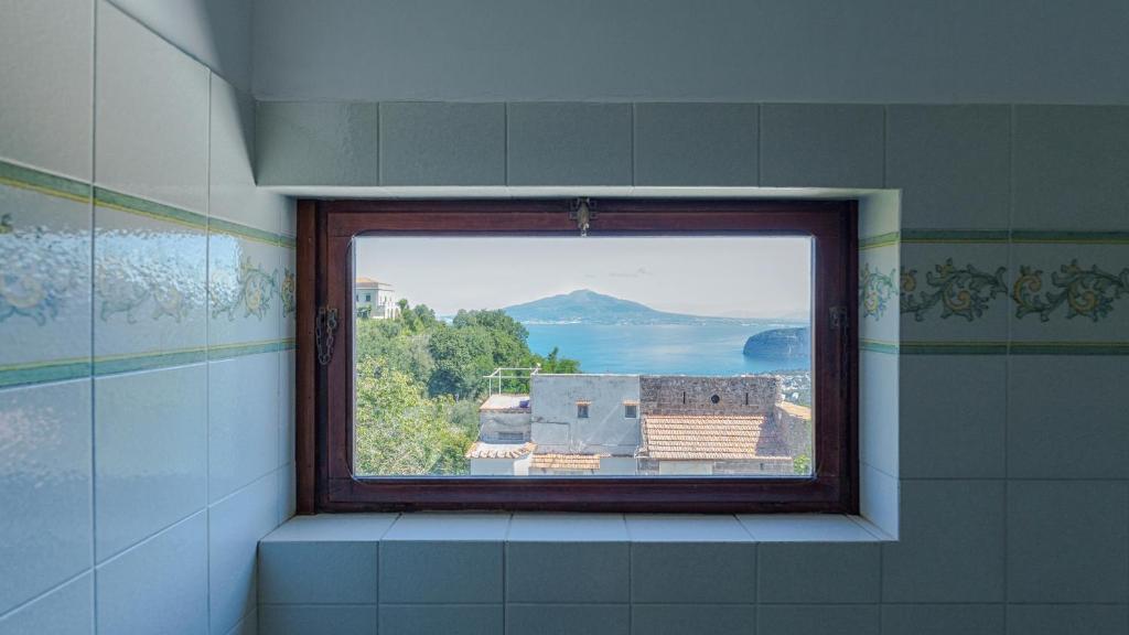 Príroda v okolí hotela