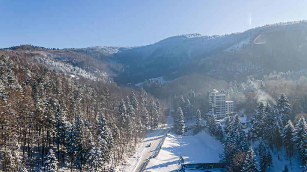 a view of a mountain with snow and trees at Kurort Kozubnik - Apartamenty Kiczora nad strumykiem - Dream Apart in Porąbka