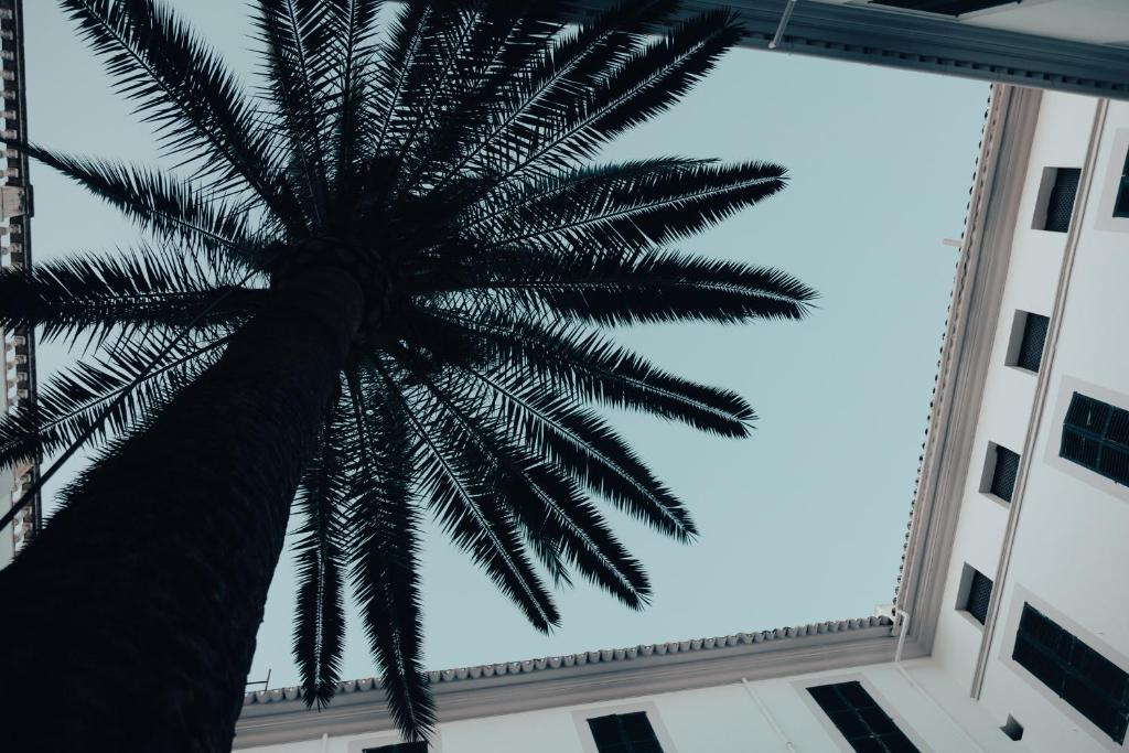 Fotografie z fotogalerie ubytování Hotel Born v destinaci Palma de Mallorca