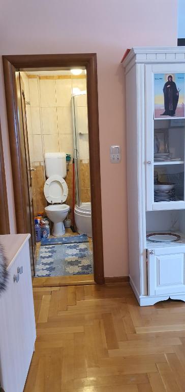 Koupelna v ubytování Apartman Bor