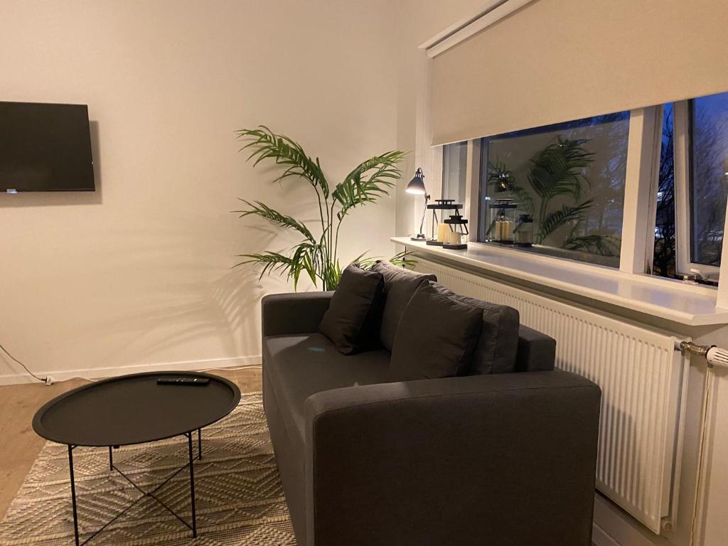 Day Dream Soleyjargata Rooms & Apartments - Studio Apartment