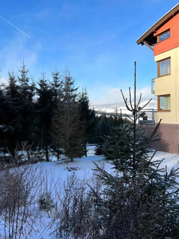 Útulný jednopokojový apartmán v alpském stylu na Klínovci - Appartement D'une Chambre