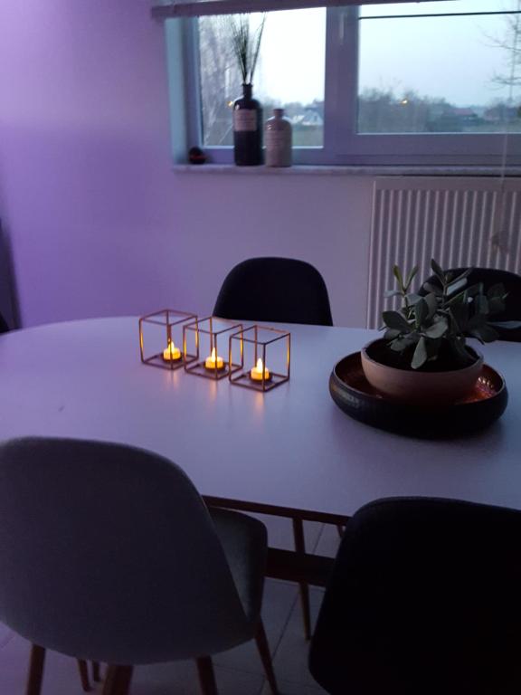 Fotografie z fotogalerie ubytování Apartment Nathalie v destinaci Comines