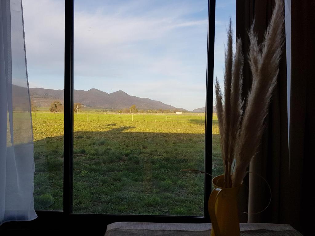 una ventana con vistas a un campo de césped en Ollagua Tiny House Sierra de la Ventana en Tornquist