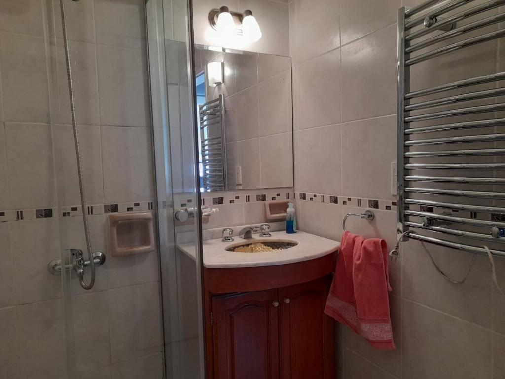 Departamento céntrico, en peatonal, con terraza