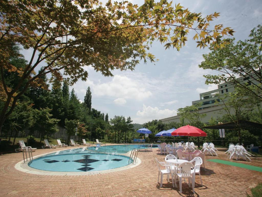 Bazén v ubytování The K Hotel Gyeongju nebo v jeho okolí