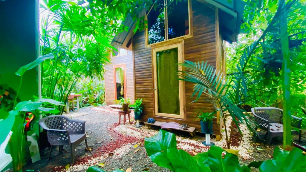 Guest House Pura Vida - Bungalow With Fan