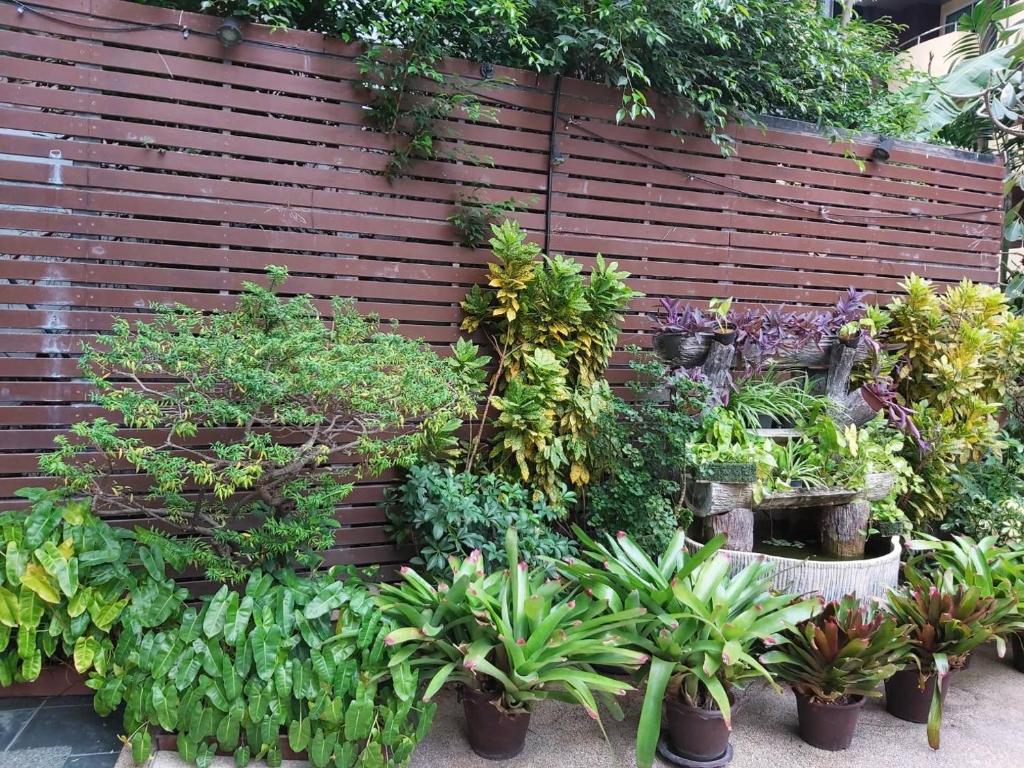 Baron Beach Hotel - Resim 38