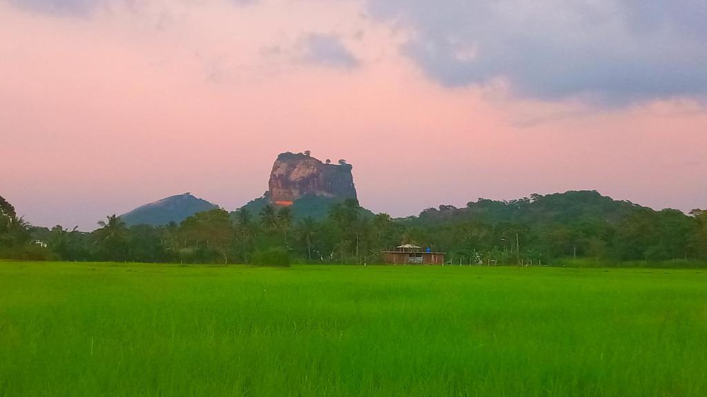a mountain in the distance with a green field at Nice View Lodge in Sigiriya