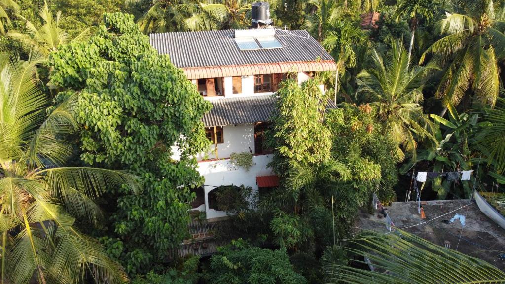an aerial view of a house in the middle of trees at Hansa Villa in Unawatuna