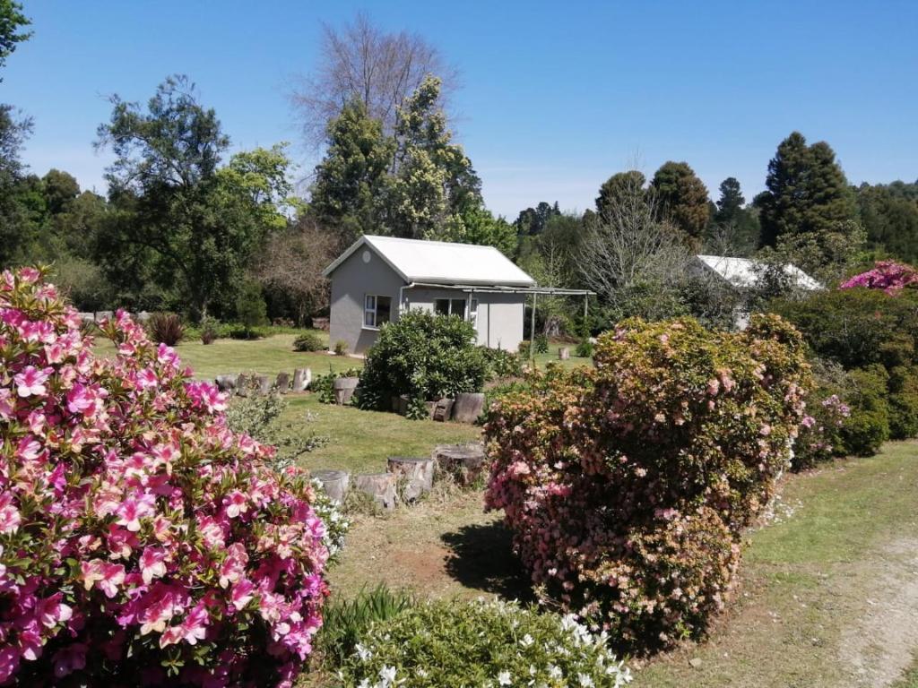 a white house in a garden with flowers at Liquid Amber in Hogsback