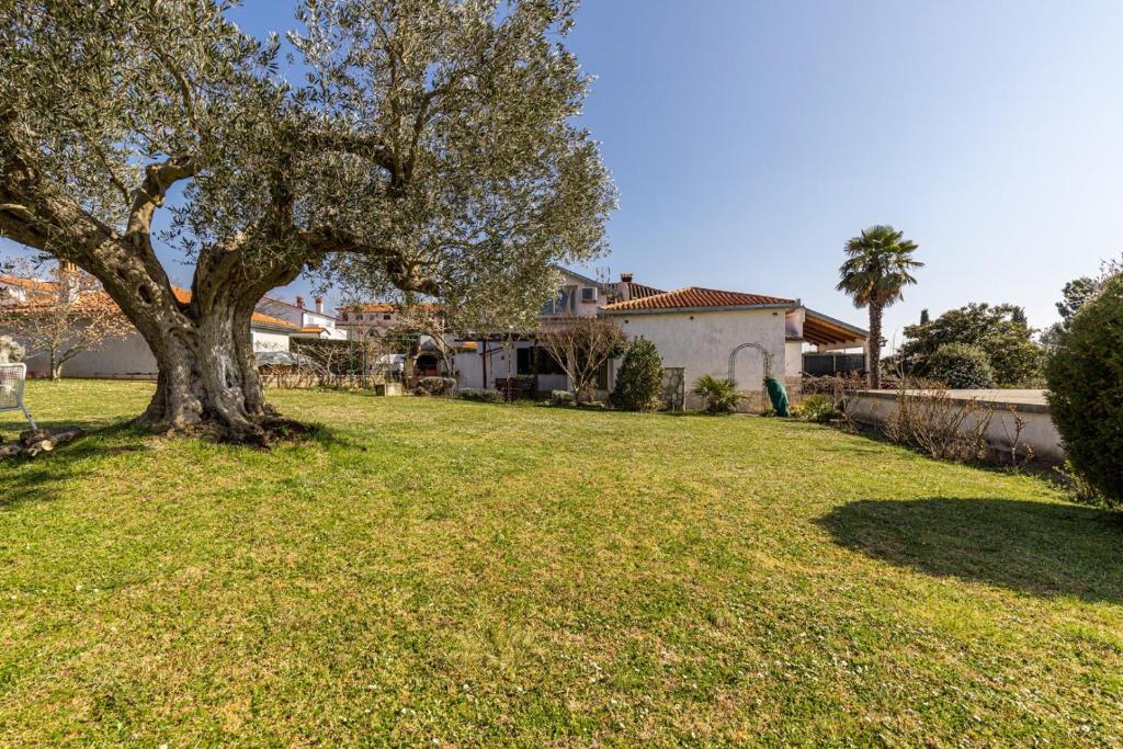 un arbre dans une cour à côté d'une maison dans l'établissement Holiday Home Cohar, à Rovinj