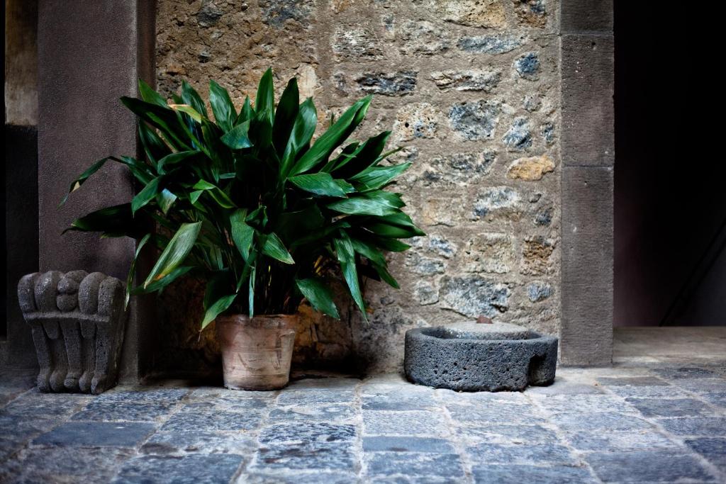 Fotografia z galérie ubytovania Casa la Carrubbazza v destinácii San Gregorio di Catania