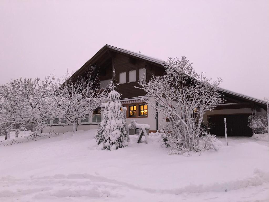 a house covered in snow with a tree in front of it at Ferienwohnung Eder in Mauth